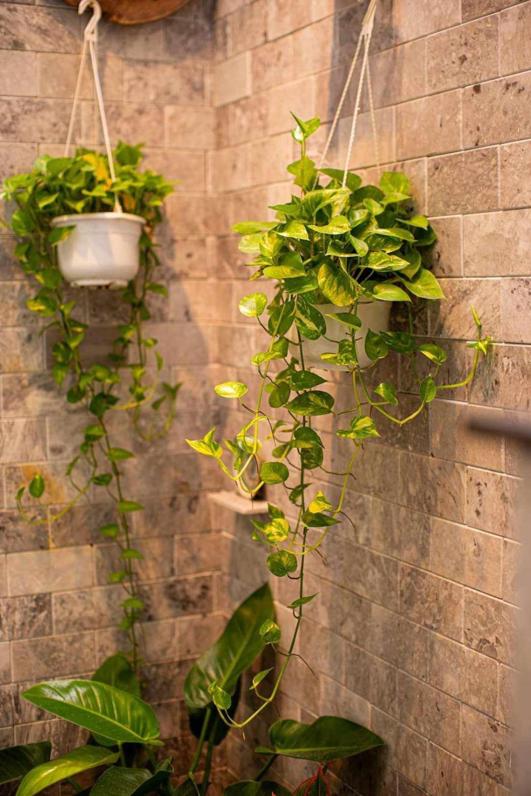 Leila House - - 3brs - Free Airport Shuttle * Đà Nẵng